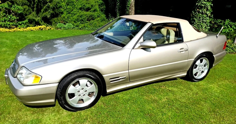 Mercedes-Benz SL cena 49900 przebieg: 286000, rok produkcji 1998 z Łęczna małe 497